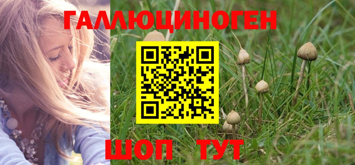 Псилоцибиновые грибы Psilocybine cubensis  Вход с VPN  Воркута 
